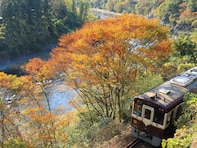 優秀な学生が多いと思う「群馬県の私立進学校」ランキング！ 2位「樹徳高等学校」、1位は？ 【2025年調査】