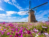 職場で配りたい「千葉県のお土産」ランキング！ 2位「チーバくんサブレー」、1位は？ 【2025年調査】