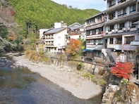 長期休暇に行きたいと思う「和歌山県の温泉地」ランキング！ 2位「龍神温泉」、1位は？ 【2025年調査】