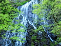 長期休みに行きたい「福井県の穴場秘境」ランキング！ 2位「龍双ケ滝」を抑えた1位は？【2025年調査】