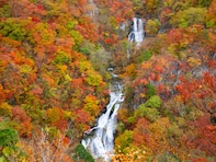 長期休みに行きたい「栃木県の穴場秘境」ランキング！ 2位「霧降の滝」、1位は？ 【2025年調査】
