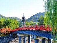 老後に住みたい「京都府の自治体」ランキング！ 2位「宇治市」を抑えた1位は？ 【2025年調査】