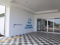 子連れで行きたいと思う「熊本県の道の駅」ランキング！ 2位「天草市イルカセンター」、1位は？【2025年調査】