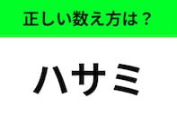 【数え方クイズ】「ハサミ」の正しい数え方は何？ じっくりと考えて！