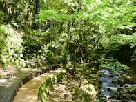 神奈川県で「外国人観光客におすすめしたい温泉地」ランキング！ 2位「湯河原温泉」、1位は？ 【2025年調査】