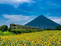 老後に住みたい「鹿児島県の自治体」ランキング！ 2位「指宿市」を抑えた1位は？ 【2025年調査】