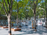 好き&行ってみたい「埼玉県のイルミネーション2025」ランキング！ 2位「さいたま新都心イルミネーション」、1位は？