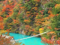 長期休みに行きたい「静岡県の穴場秘境」ランキング！ 2位「寸又峡・夢の吊り橋」、1位は？ 【2025年調査】