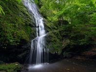 長期休みに行きたい「京都府の穴場秘境」ランキング！ 2位「琴滝」、1位は？ 【2025年調査】