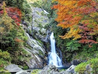 長期休みに行きたい「佐賀県の穴場秘境」ランキング！ 同率2位「見帰りの滝」を含む注目の1位は？【2025年調査】