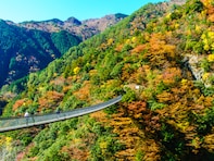 長期休みに行きたい「熊本県の穴場秘境」ランキング！ 2位「梅の木轟公園吊橋」「菊池渓谷」、1位は？ 【2025年調査】