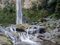 長期休みに行きたい「大分県の穴場秘境」ランキング！ 2位「東椎屋の滝」、同率1位は？【2025年調査】