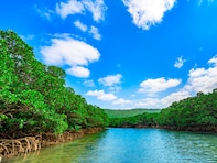 長期休みに行きたい「沖縄県の穴場秘境」ランキング！ 2位「吹通川マングローブ林（石垣島）」、1位は？ 【2025年調査】