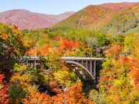 長期休みに行きたい「宮城県の穴場秘境」ランキング！ 2位「鳴子峡」、1位は？ 【2025年調査】