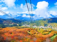 好き＆行ってみたい「日本の高原」ランキング！ 2位「山形蔵王中央高原（山形県）」、1位は？【2025年調査】