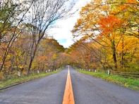 クリスマスに行きたい「栃木県の絶景ドライブスポット」ランキング！ 2位「那須高原スカイライン」を抑えた1位は？