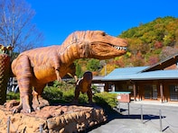 福井県民が選んだ「住み続けたい街（自治体）」ランキング！ 2位「大野市」、では1位は？【2025年調査】