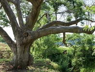 カップルで行きたいと思う「秋田県の道の駅」ランキング！ 2位「かみおか」を抑えた1位は？【2025年調査】