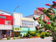 【2025年版】沖縄県民が選んだ「住み続けたい街（自治体）」ランキング！ 2位「嘉手納町」、では1位は？