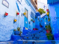 今だからこそ行きたいと思う「アフリカの旅行先」ランキング！ 2位「モロッコ」を抑えた1位は？【2025年調査】