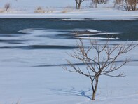 名前がかっこいいと思う「青森県の自治体」ランキング！ 2位「つがる市」を抑えた1位は？【2025年調査】