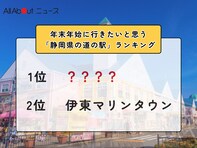 年末年始に行きたいと思う「静岡県の道の駅」ランキング！ 2位「伊東マリンタウン」、1位は？【2025年調査】