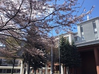 優秀な学生が多いと思う「北海道の私立進学校」ランキング！ 2位「札幌光星高等学校」を抑えた1位は？【2025年調査】