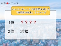 ナンバープレートで地元愛を感じる「静岡県の地名」ランキング！ 「浜松」を抑えた堂々の1位は？【2025年調査】