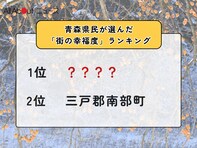 【2025年版】青森県民が選んだ「街の幸福度（自治体）」ランキング！ 2位「三戸郡南部町」を抑えた1位は？
