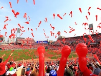 広島県らしさを感じる「1500円以上のお土産」ランキング！ 2位「広島カープマカロン」を抑えた1位は？