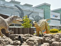 治安がいいと思う「福井県の自治体」ランキング！ 2位「福井市」を抑えた1位は？【2025年調査】