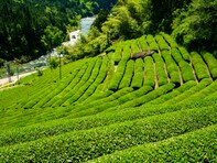 治安がいいと思う「岐阜県の自治体」ランキング！ 2位「東白川村」を抑えた1位は？【2025年調査】