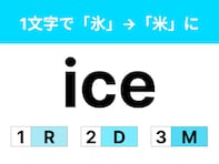 【英語クイズ】「ice」に1文字足して「氷」を「米」をしてみよう！ カレーを想像すれば分かる……？
