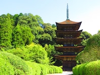 治安がいいと思う「山口県の自治体」ランキング！ 2位「山口市」を抑えた1位は？【2025年調査】