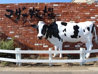 長期休みに行きたいと思う「千葉県の旅行先」ランキング！ 2位「マザー牧場」を抑えた1位は？【2025年調査】