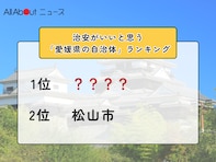 治安がいいと思う「愛媛県の自治体」ランキング！ 2位「松山市」を抑えた1位は？【2025年調査】