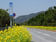 冬に行きたい「千葉県の絶景ドライブスポット」ランキング！ 2位「房総フラワーライン（館山～南房総）」を抑えた1位は？【2025年調査】