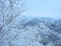 冬に行きたい「奈良県（奈良・吉野・大和路エリア）の温泉地」ランキング！ 2位「吉野温泉」を抑えた1位は？【2026年調査】