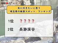 冬に行きたいと思う「埼玉県の絶景スポット」ランキング！ 2位「長瀞渓谷」を抑えた1位は？【2026年調査】
