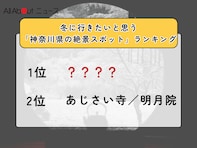 冬に行きたいと思う「神奈川県の絶景スポット」ランキング！ 2位「あじさい寺／明月院」を抑えた1位は？【2026年調査】