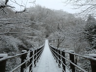 冬に行きたい「茨城県の穴場秘境」ランキング！ 2位「花貫渓谷」を抑えた1位は？【2026年調査】