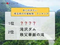 冬に行きたい「埼玉県の穴場秘境」ランキング！ 同率2位「滝沢ダム」「秩父華厳の滝」を抑えた1位は？【2026年調査】