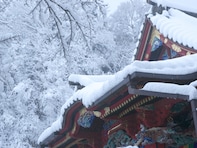 東京都で「冬に行きたい滝」ランキング！ 2位「高尾山薬王院 蛇滝」、1位は？ 【2026年調査】