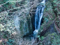 千葉県で「冬に行きたい滝」ランキング！ 2位「地蔵堂の滝（白糸の滝）」、1位は？ 【2026年調査】