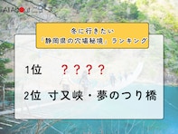 冬に行きたい「静岡県の穴場秘境」ランキング！ 2位「寸又峡・夢のつり橋」を抑えた1位は？【2026年調査】