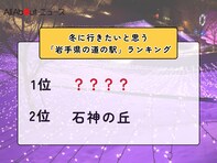 冬に行きたいと思う「岩手県の道の駅」ランキング！ 2位「石神の丘」を抑えた1位は？【2026年調査】