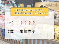 見た目がかわいいと思う「新潟県のお土産」ランキング！ 2位「朱鷺の子」を抑えた1位は？【2026年調査】