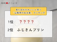 見た目がかわいいと思う「山梨県のお土産」ランキング！ 2位「ふじさんプリン」を抑えた1位は？【2026年調査】