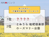 冬に行きたい「千葉県の道の駅」ランキング！ 同率2位「とみうら 枇杷倶楽部」「ローズマリー公園」を抑えた1位は？【2026年調査】