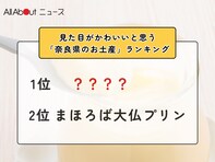 見た目がかわいいと思う「奈良県のお土産」ランキング！ 2位「まほろば大仏プリン」、1位は？【2026年調査】